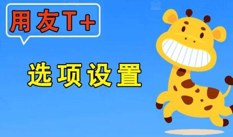 用友T+常見(jiàn)問(wèn)題及處理方式